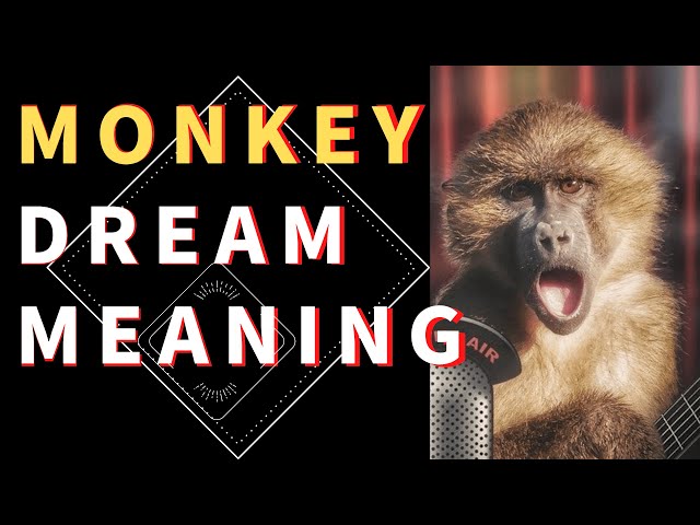 What Does It Mean To Dream About A Monkey?