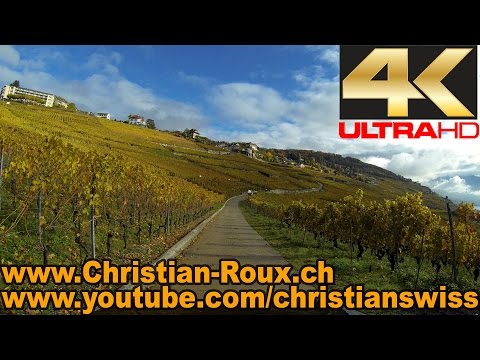 UHD - Switzerland 295 (Camera on board): Vignoble en Terrasses de Lavaux - La Corniche (Hero3) - UCEFTC4lgqM1ervTHCCUFQ2Q