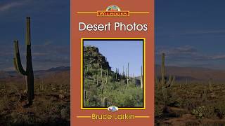 Desert Photos 