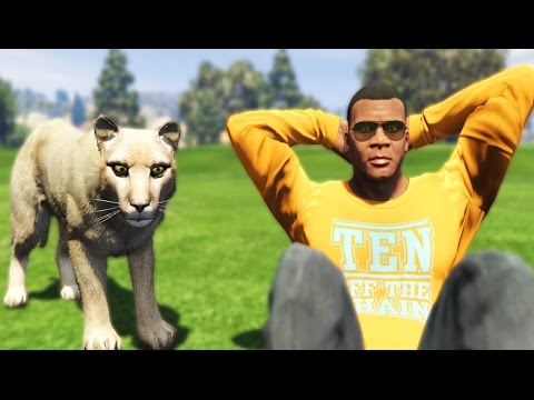 REAL LIFE MOD SIMULATOR - PET COUGAR! IN GTA 5 ROLEPLAY #9 | GTA 5 PC Mod Gameplay - UCdZoVLv1XHLLLJTSNcifuDQ