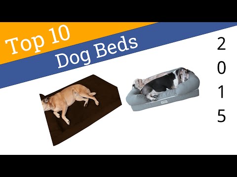 10 Best Dog Beds 2015 - UCXAHpX2xDhmjqtA-ANgsGmw