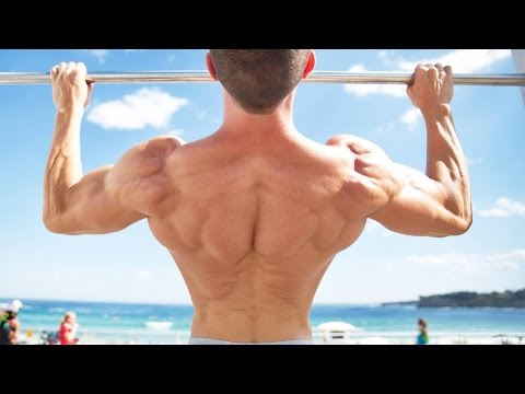 3 Must do Exercises to Master the Pullup - UCHZ8lkKBNf3lKxpSIVUcmsg