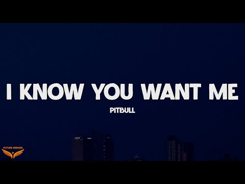Pitbull - I Know You Want Me (Calle Ocho) (Lyrics)