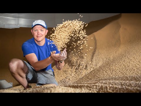 Everything About Grain Bins (Farmers are Geniuses) - Smarter Every Day 218 - UC6107grRI4m0o2-emgoDnAA