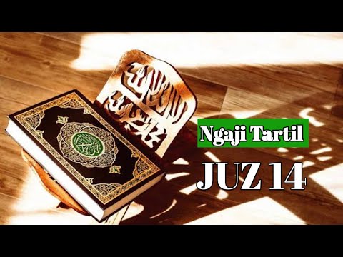Reading Tartil Juz 14 I Semaan Al Quran