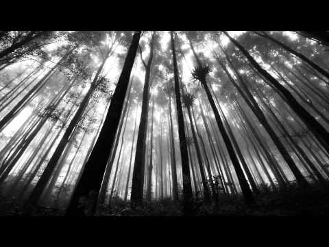 Kaiben - Forest (Preview) [Forest EP Out Soon!] - UCkfMJApxxdy-h41xy_8AHNw