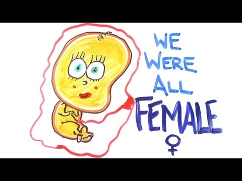 We were all female - UCC552Sd-3nyi_tk2BudLUzA