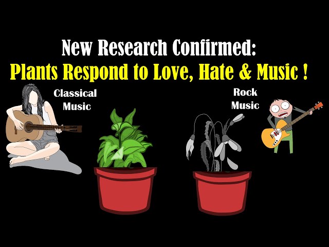 How Plants Respond to Classical Music