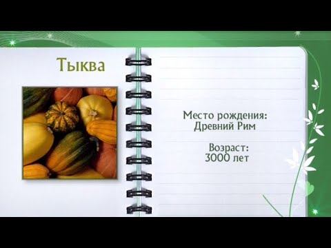 Кулинарная энциклопедия - Тыква - UC7XBjhXnmmXFsxmnys9PmDQ