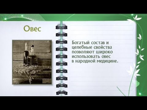 Кулинарная энциклопедия - Овес - UC7XBjhXnmmXFsxmnys9PmDQ