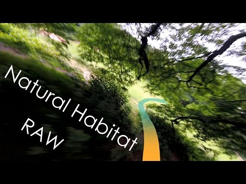 Natural Habitat [RAW] || FPV FREESTYLE - UCaWxQ4V1rsDcG6uCxKv1NIA