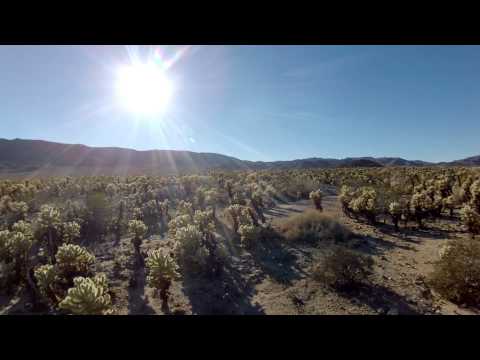 FPV Quadcopter - Joshua Tree Cactus Garden - UC8SRb1OrmX2xhb6eEBASHjg