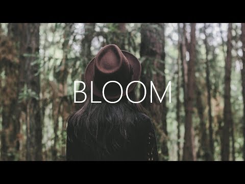 Dabin - Bloom ft. Dia Frampton (Lyrics) Nurko Remix - UCwIgPuUJXuf2nY-nKsEvLOg