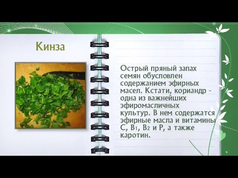 Кулинарная энциклопедия - Кинза - UC7XBjhXnmmXFsxmnys9PmDQ