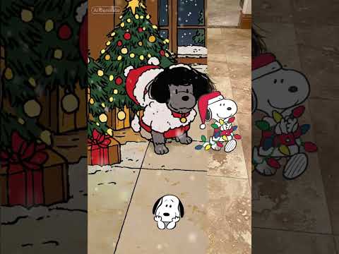 Festive dog in a fluffy white coat becomes a cartoon!#dogcartoon #christmasdog