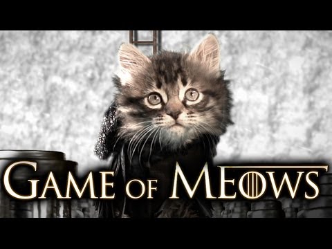 Game Of Thrones (Cute Kitten Version) - UCPIvT-zcQl2H0vabdXJGcpg