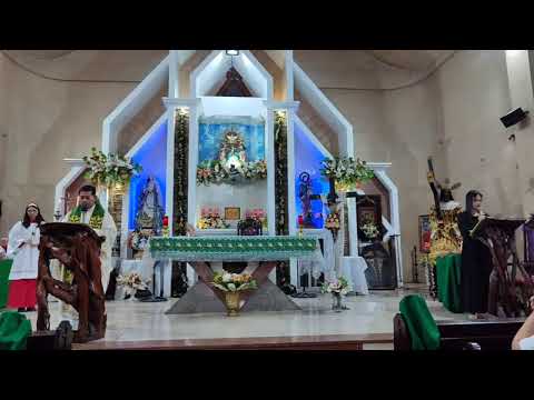 IKA-DALAWAMPU'T LIMANG LINGGO PAGKARAAN NG PENTEKOSTES. PAROKYA NG SANTISIMA TRINIDAD PASAY CITY.