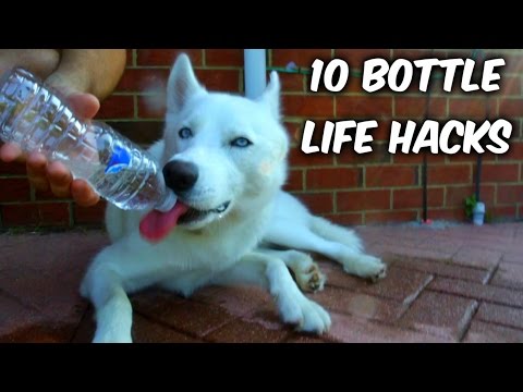 10 Plastic Bottle Life Hacks - UCe_vXdMrHHseZ_esYUskSBw