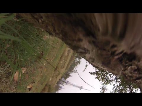 QAV250 G10 First FPV Crash - UCsFctXdFnbeoKpLefdEloEQ