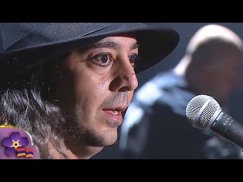 System Of A Down - Soldier Side Intro / B.Y.O.B live Armenia [1080p | 60 fps]