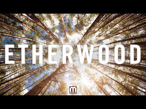 Etherwood - Album Mini Mix (Album out now on Medschool) - UCw49uOTAJjGUdoAeUcp7tOg