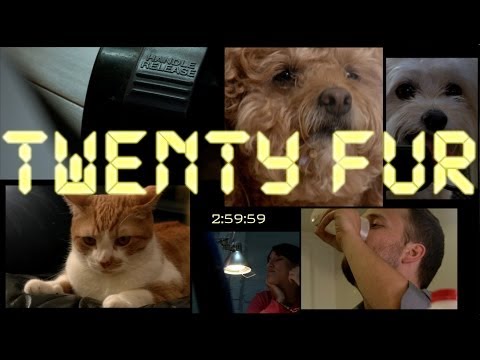 24 (Cute Dog Edition) - Twenty-Fur - UCPIvT-zcQl2H0vabdXJGcpg