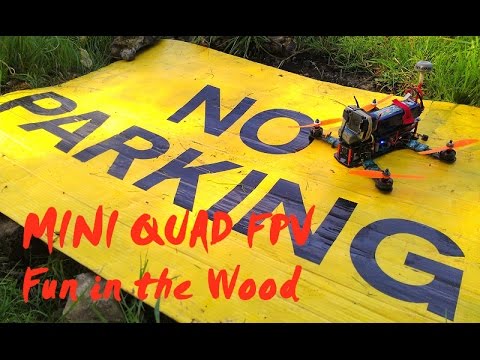 Mini Quad - FPV Racing in the Wood // Naze32 // Cobra // Blackout Clone ZMR250 // Mini-H Quadcopter - UCQ3OvT0ZSWxoVDjZkVNmnlw