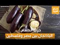 صباح العربية | بين مصر وفلسطين.. الباذنجان طعام الفقراء الذي يحبه الأغنياء
