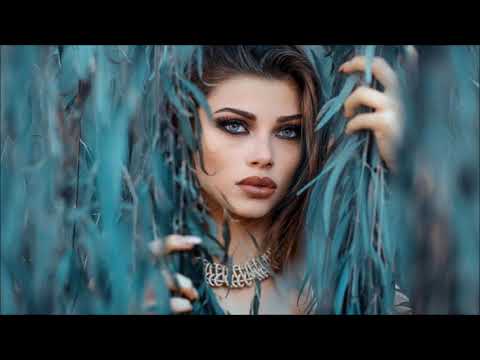 Party Mix 2017 | New Best Club Dance Music Mashups Remixes Mix 2017 MEGAMIX (DJ Silviu M) - UC1IodN5UrqtdddZ55WLQ4cg