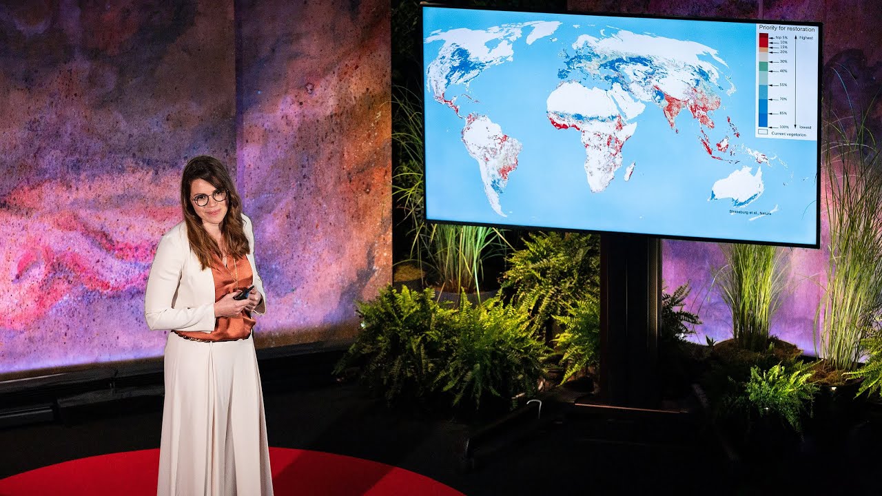 The Blind Spots of the Green Energy Transition | Olivia Lazard | TED