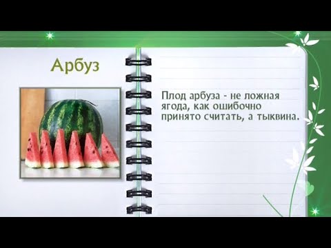 Кулинарная энциклопедия - Арбуз - Часть 2 - UC7XBjhXnmmXFsxmnys9PmDQ