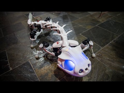 Meet Pleurobot, an Amphibious Robot! - UCiDJtJKMICpb9B1qf7qjEOA