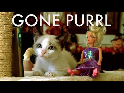 GONE GIRL (Cute Kitten Version) - UCPIvT-zcQl2H0vabdXJGcpg