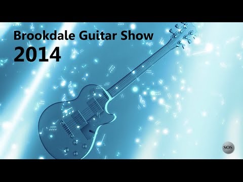 Brookdale Guitar Show 2014 - UCMKbYv-MCXxZlzEPlukCmNg