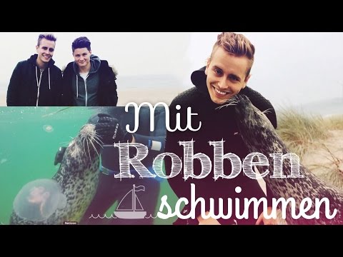 ICH SCHWIMME MIT ROBBEN ..♥ mit Dner & Bibi | Julienco - UCX71z-68tW3Pk5TW6EPKQgg