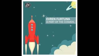 Evren Furtuna - Private Party (Original Mix)