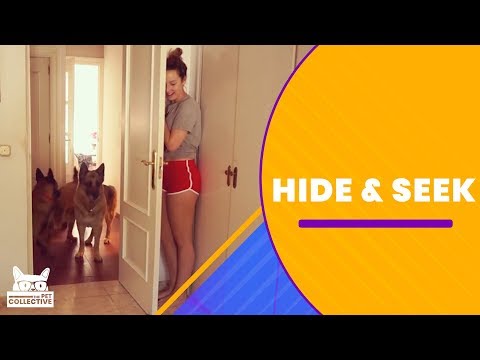 Hide and Seek - UCPIvT-zcQl2H0vabdXJGcpg