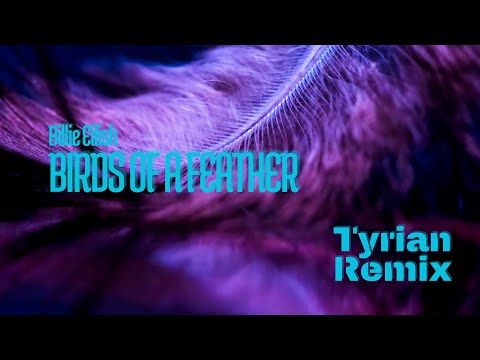 Billie Eilish - BIRDS OF A FEATHER (Tyrian Remix)