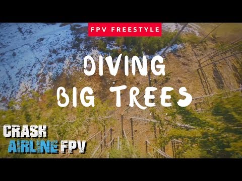 Diving Big Trees | Drone Freestyle FPV - UCV0Nvmwp8lclg5jWUfwFDGg