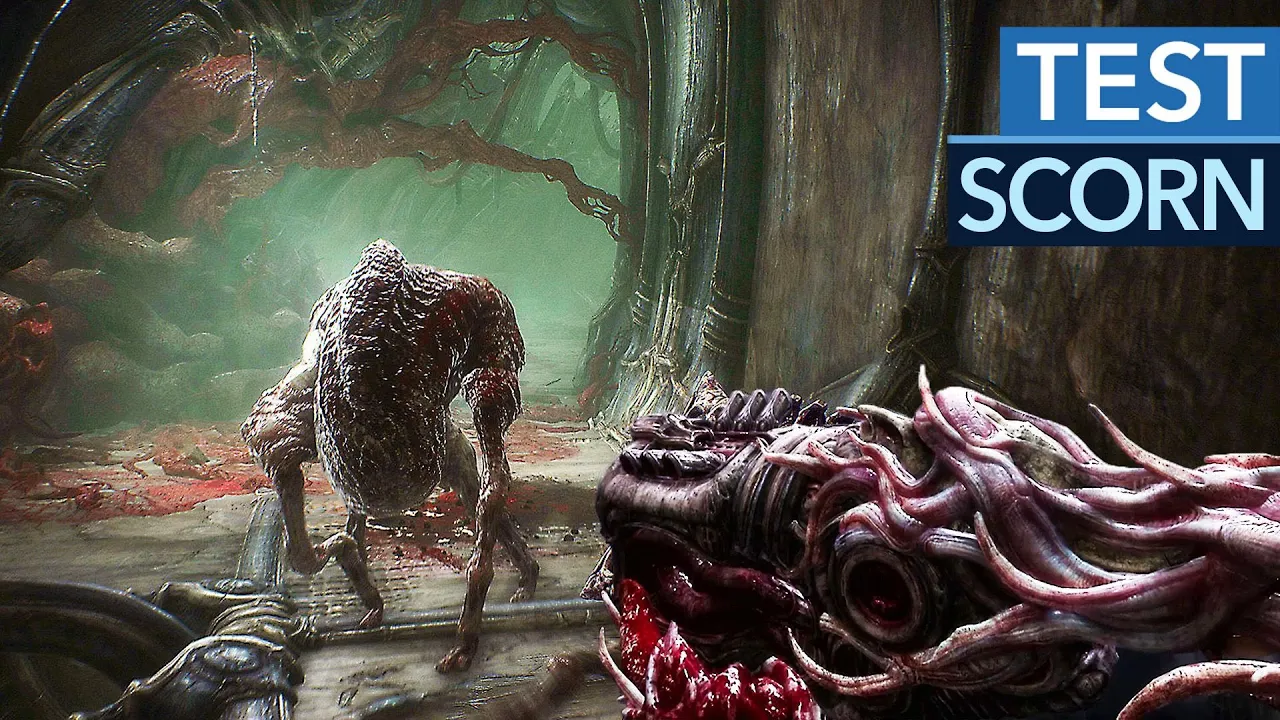 Vido-Test de Scorn par GameStar