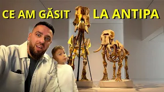 PRIMA OARĂ CU COPILUL LA MUZEUL ANTIPA! (O ZI DOAR NOI DOI, CA BĂIEȚII)