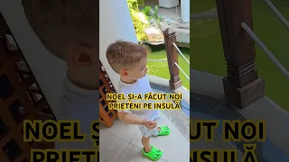 Noel și-a făcut noi prieteni pe insulă.🌴😅