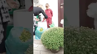 Noel ne ajută să redecorăm fațada casei! 😂🥀