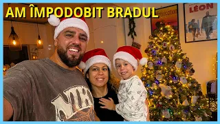 AM ÎMPODOBIT BRADUL CU AJUTORUL LUI NOEL
