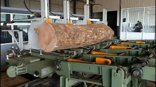 USTUNKARLI AFRICA 1400 Bustean exotic/ Exotic logs 1400mm diameter