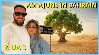 Bahrain: Aici a fost Grădina Edenului? Cu izvoare de apă dulce în mare, Copacul Vieții și... PETROL.