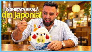 AM MÂNCAT CEL MAI NEBUN DESERT DIN JAPONIA! AM AJUNS ÎN KAGOSHIMA.