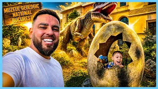 CUM ARATĂ MUZEUL GEOLOGIC DIN BUCUREȘTI ȘI DINO PARK